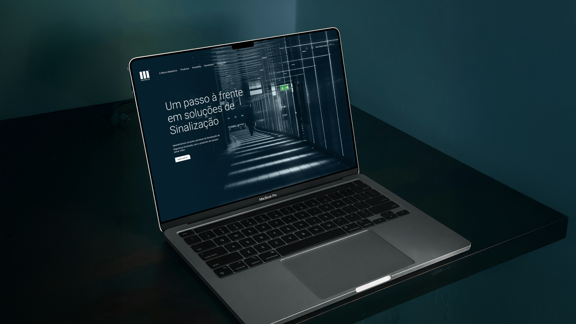 Masterlux: Website